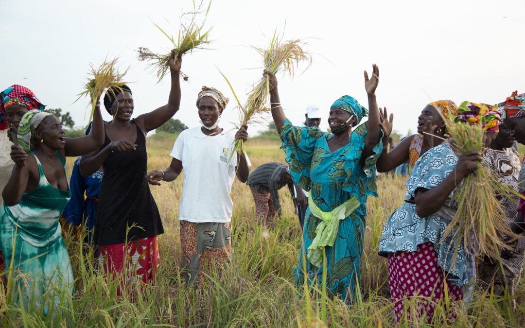 200 femmes formées sur la souveraineté alimentaire et le leadership des femmes
